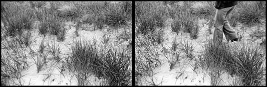 Extrapolation__34-35