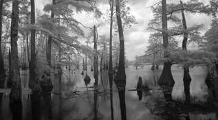 Untitled_1
