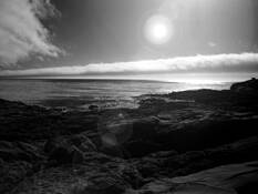 Untitled_11