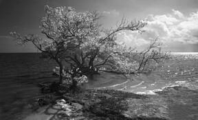Untitled_9