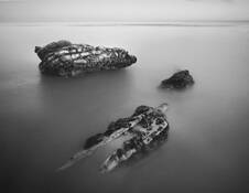 Creation_study__3