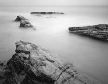 Creation_study__4