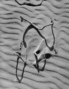 Beach-f