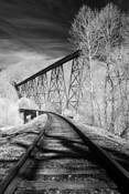 Two_roads_north
