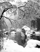 Merced_river