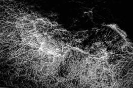 Ocean_galaxies_104
