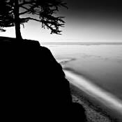 Evening_light