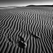Oceano_dunes__2