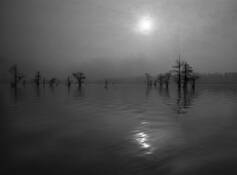 Reelfoot_lake