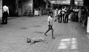 Untitled_7