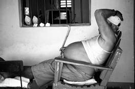 Siesta