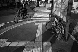 Nara_in_the_morning