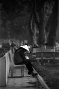 Reading
