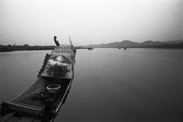 The_boat
