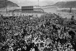 The_crowd