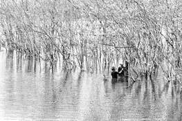 Fishing