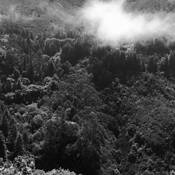 Drifting_haze