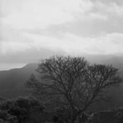 Solitude