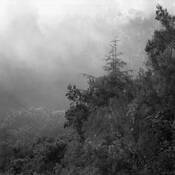 Suitable_mist