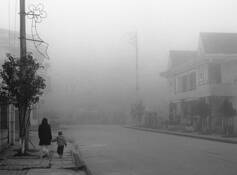 A_walk_in_the_fog