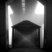 Foggy_morning_ride