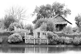 Country_home