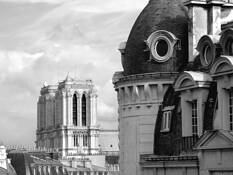 Left_bank_rooftops___notre_dame