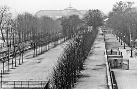 Tuileries