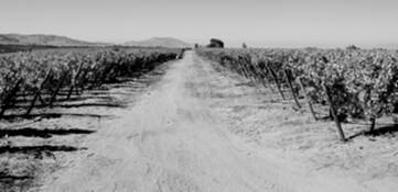 Path_of_heartbeat