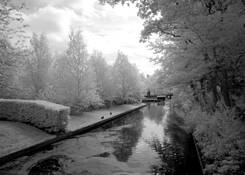 Kukenhof_gardens
