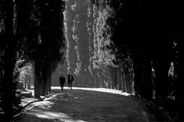 Morning_walk