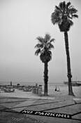 Venice_beach
