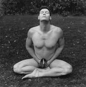 Tropical_meditation