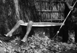Legs_and_leaves