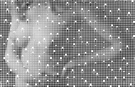 Dewy_screen_and_nude