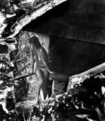 Honeymoon_becquai__1