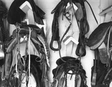 Saddles