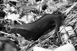 Lost_slipper