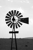 Windmill
