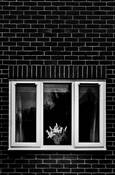 Untitled__3