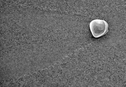 Traveled_shell