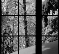 Secret_window