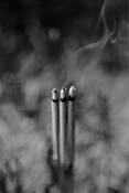 Untitled_3