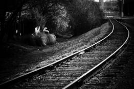 Train_tracks
