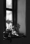 Autumn_still_life