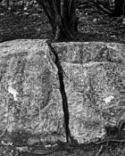 Split_asunder
