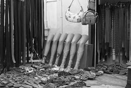 Legs