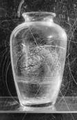Vessel_with_nest