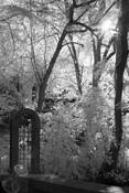 Secret_garden