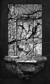 Fountain